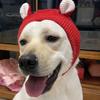 Barn Lue Vinter Pet Cap Strikket Høy elastisitet Holder varmen Ensfarget Øre Decor Småbarn Gutter Jenter Beanie Foto Prop Hodeplagg