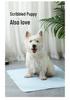 Cooling Ice Silk Pet Mat for Dogs and Cats