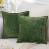 Chenille Soft Throw Pillow Covers  Spring Farmhouse Velvet Pillow Covers, Decorative Square Pillow Covers with Stitched Edge