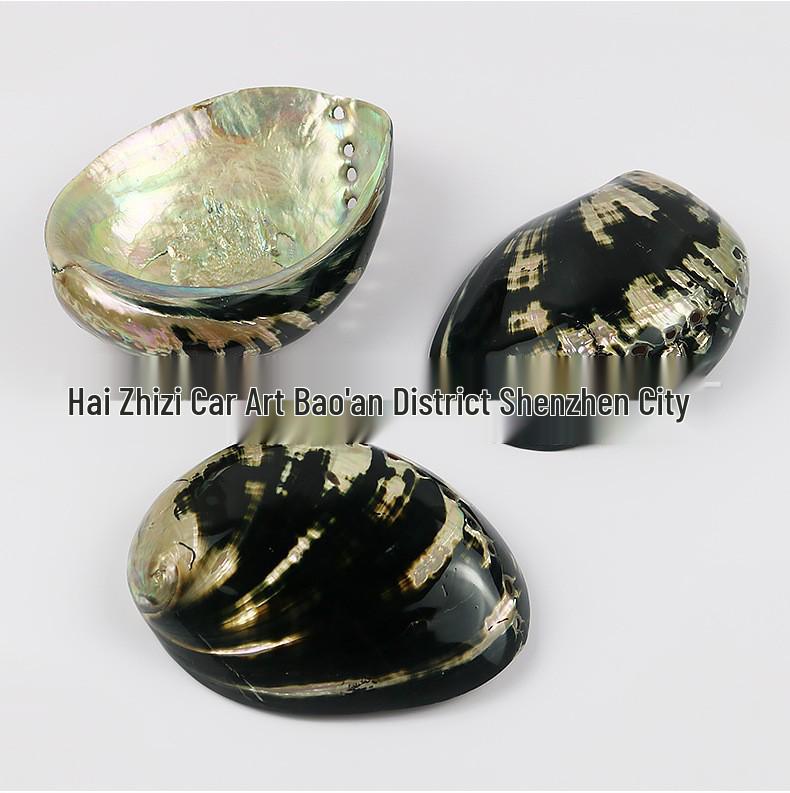 Guscio di Abalone Naturale per Arredamento Casa, Acquari, Paesaggistica e Bruciare Salvia