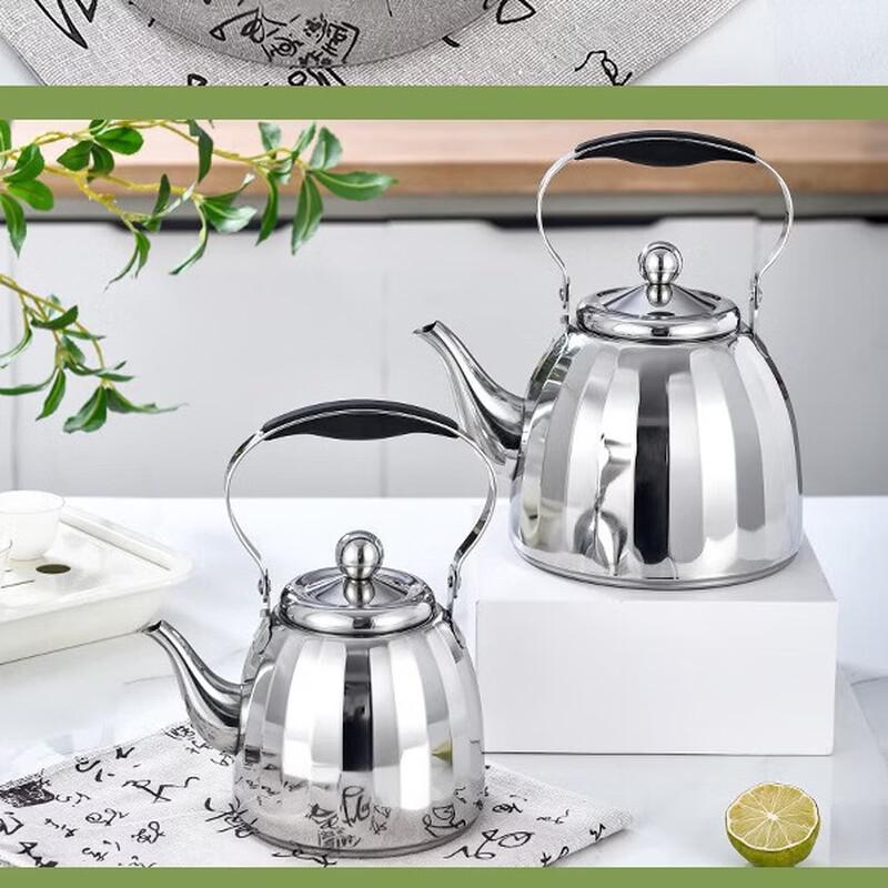 Abay Thickened Stainless Steel Teapot with Handle