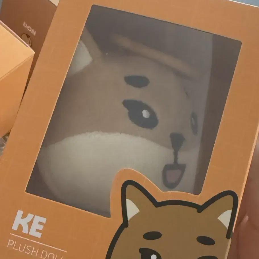 

Day6 Goyang Con Md Denimals 19k