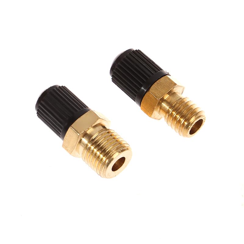 1 Adet Yüksek Kalite Hava Kompresörü Tank Dolum Vanası Altıgen Pirinç Tank Dolum Vanası M8/M10 Dişli Valf Çekirdeği M10*1 M8*1.25