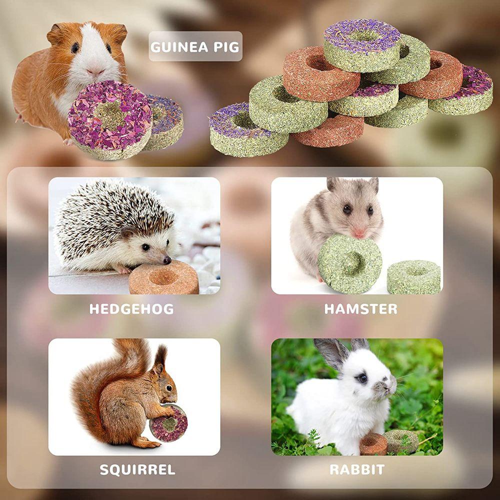 Flowers Flavored Chinchillas Snack Food Cookie Hamster Treats Rabbit Chew Toys Timothy Hay Cakes
