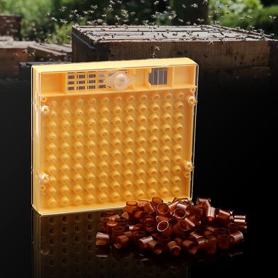 Beekeeping Queen Rearing Cell Cup Box Kit Plastic Honeycombs Queen Cage Isolation Apiculture Equipment Accessories