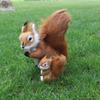 Dolls Birthday Gift Simulation Squirrel Animal Plush Toys Squirrel Plush Doll Squirrel Stuffed Toys