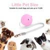 Retractable Dog Leash Automatic Freely  Puppy Cat Traction Rope Belt Dog Leash for Puppy and Kitty Pet Leash
