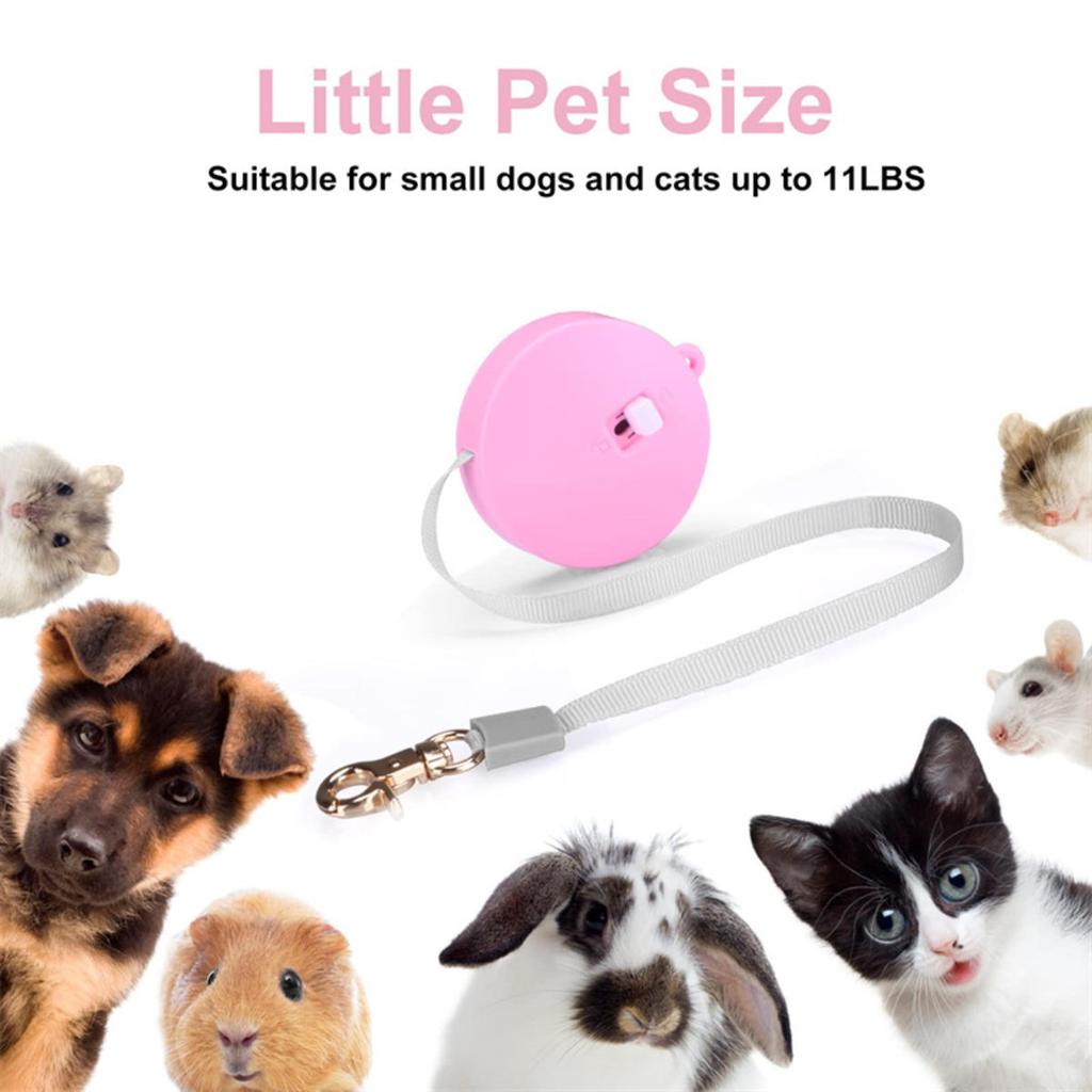 Retractable Dog Leash Automatic Freely  Puppy Cat Traction Rope Belt Dog Leash for Puppy and Kitty Pet Leash