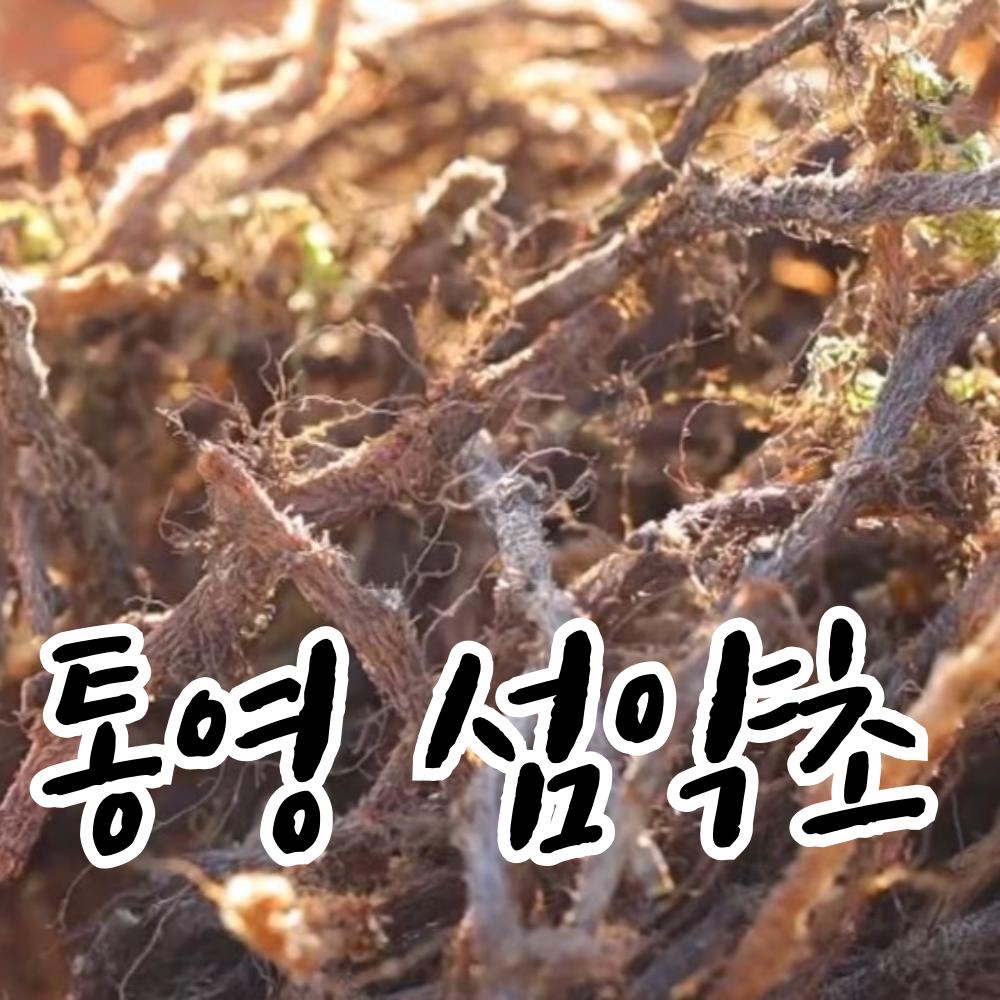 Golsaebo, Tongyeong Wild Island Herb, 200g, Winter Harvested, Completely Dried, Fine Hairs Removed, 1 pcs