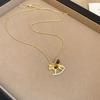 Natal Year Zircon Tiger's Eye Stone Pony Necklace Simple Fashion Light Luxury High-end Sweater Chain Daily Versatile Necklace