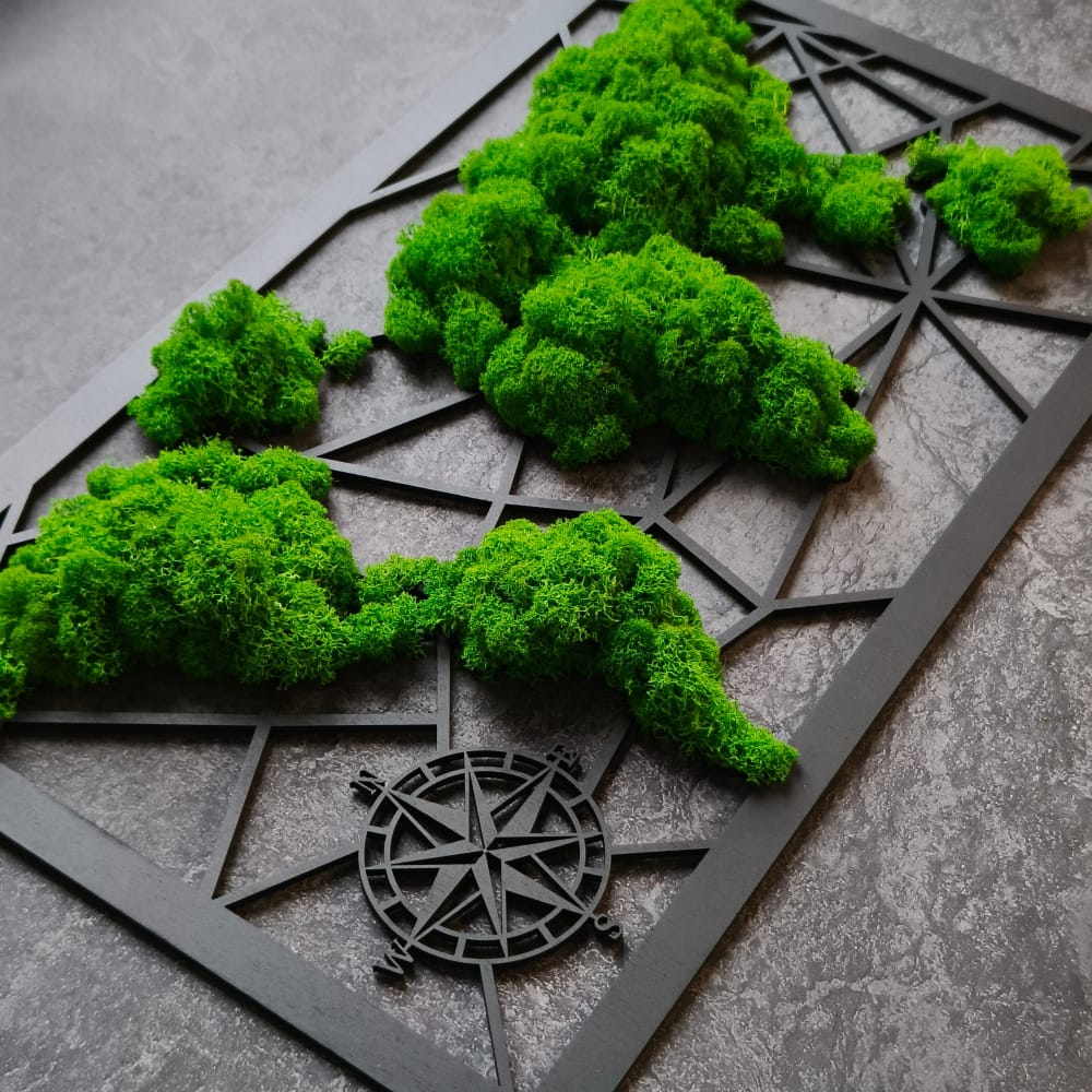 Picture - world map made of moss - 55cm x 33cm (4mm plywood)