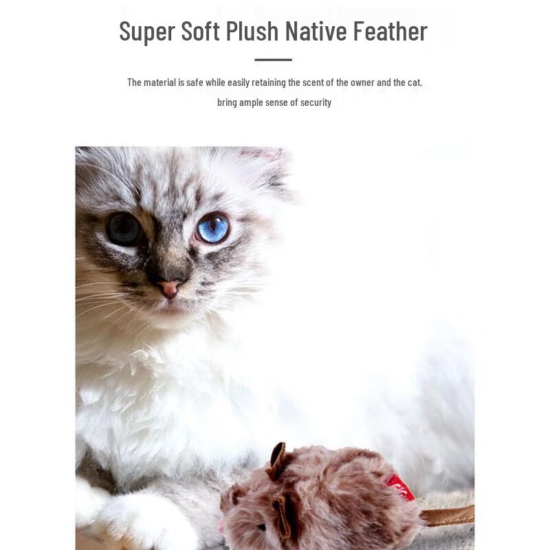 Cat Teaser Toy