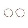 Simple Retro Fashion High Sense, Circle Earrings Niche Design Cold Wind Personality Internet Celebrity Earrings