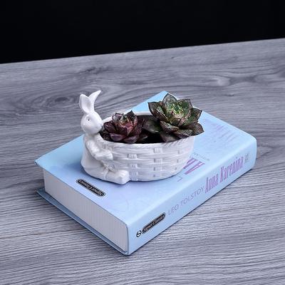 European Desktop Creative Succulent Flower Pot, Simple Modern Home Gardening White Ceramic Flower Pot Home Decoration