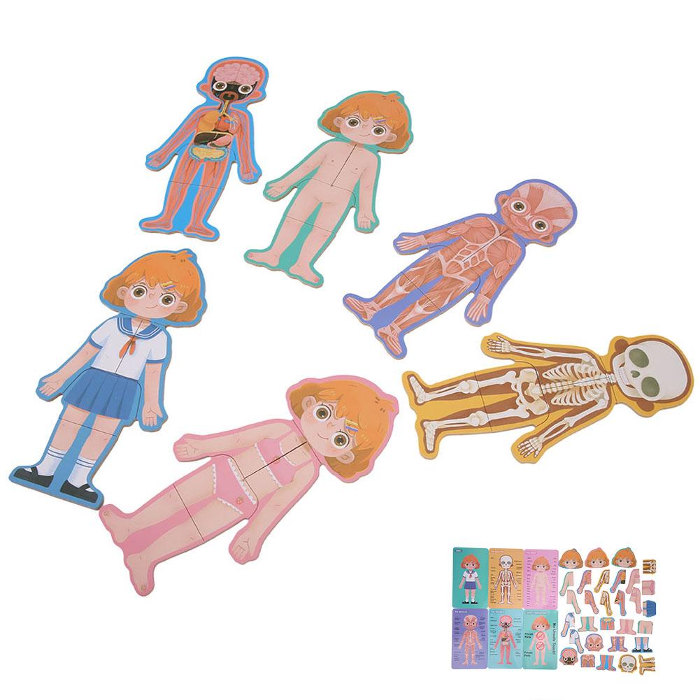 Children Wooden Human Body Organ Structure Cognition Puzzle Jigsaw Toy Educational ToysGirl Body