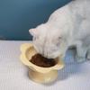 Ceramic Pet High Foot Bowl Cute Pet Drinking Feeder Anti Knock Cat Bowl  Neck Protection