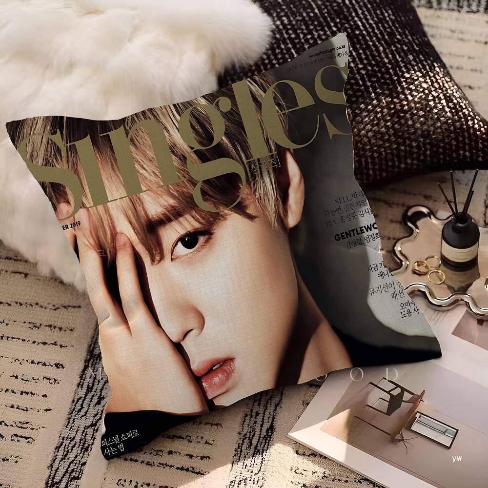 Korean P-PARK JI HOON Cushion Cover Pillowcase Upholstery Sofa Throw Pillow Home Decor Pillowcas
