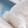 Cute Simulation Rabbit Plush Toy Baby Sleep Comfort Dolls Lovely Rabbit For Kids Girls Easter Bunny Gifts Christmas Birthday