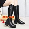 Wool Boots Autumn and Winter New Women's Boots High Boots Versatile Cotton Boots Thickened Warm Women's Long Boots