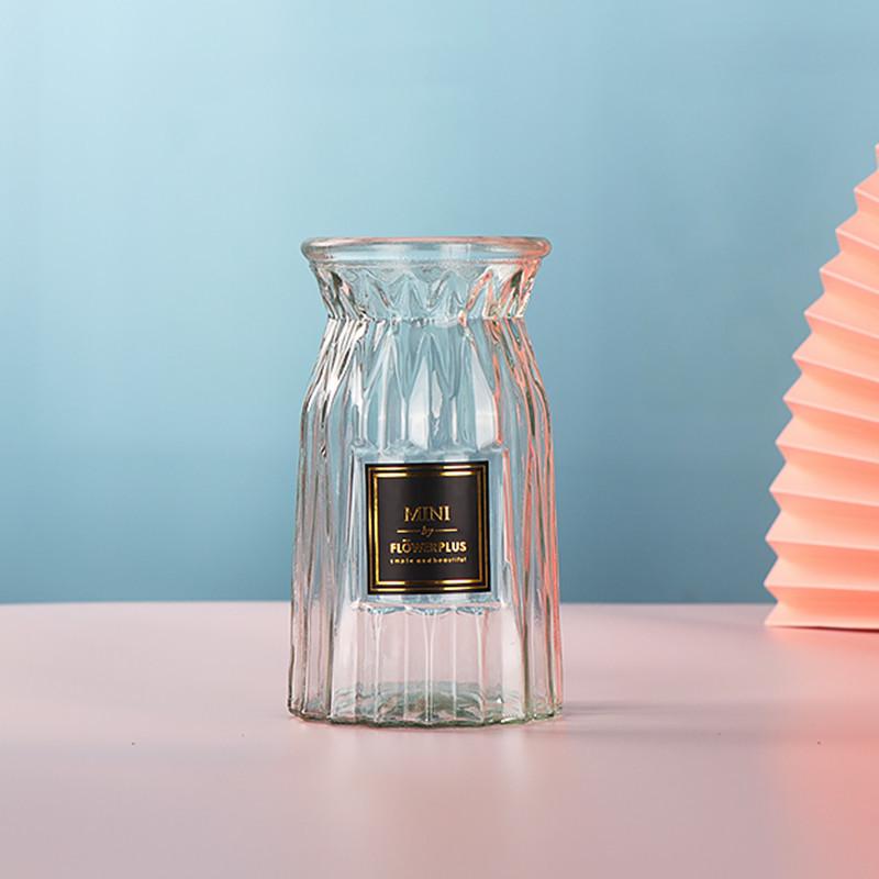 European Glass Vase for Fresh or Dried Flowers - Simple, Creative Home Decor Ornament