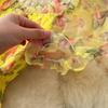 Abito Retrò Francese Floreale in Chiffon con Vita Cinciurata, Manica a Sbuffo Monospalla e Gonna in Rete