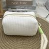 2026 New Ins Sweet Girl Candy Color Plush Large Capacity Makeup Bag Washbag Travel Portable Handheld Small Storage