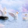 Cartoon Niedliche Gans Schwan Harz Modell Miniatur Figur Auto Ornamente Handwerk Kreative Diy Home Dekoration Zubehör Geschenke