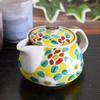 Waza No Kura: Stylish Kutani Ware Teapot with Floral Pattern and Tea Strainer. A Premium Ceramic Brand from Japan. A Great Birthday Gift.