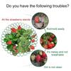 1/5/10Pcs Strawberry Plant Supports with 3 Sturdy Legs Strawberry Growing Racks Protector Frame Holder Cage From Mold Rot Dirt