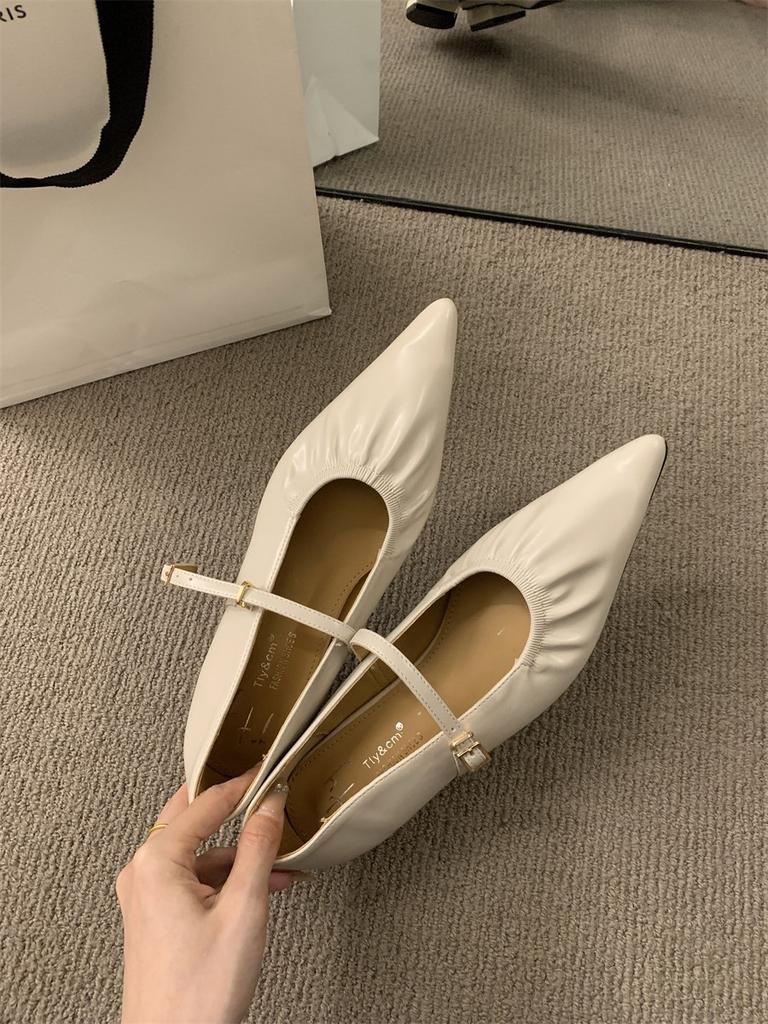 Pointed Mary Jane Shoes Women's Shoes Spring and Autumn 2025 New Thick Heel Shallow Mouth Word with French Evening Wind Single Shoes