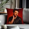Trending CCharlie Puthed Cushion Cover Antidustmite Pillowcase Invisible Zipper Silky Short Plush Sofa Cushion Cover