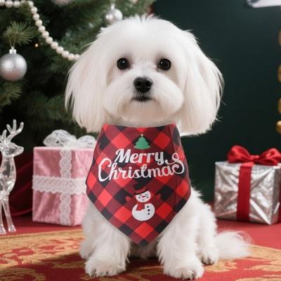 Ropa y calzado – Accesorios para perros