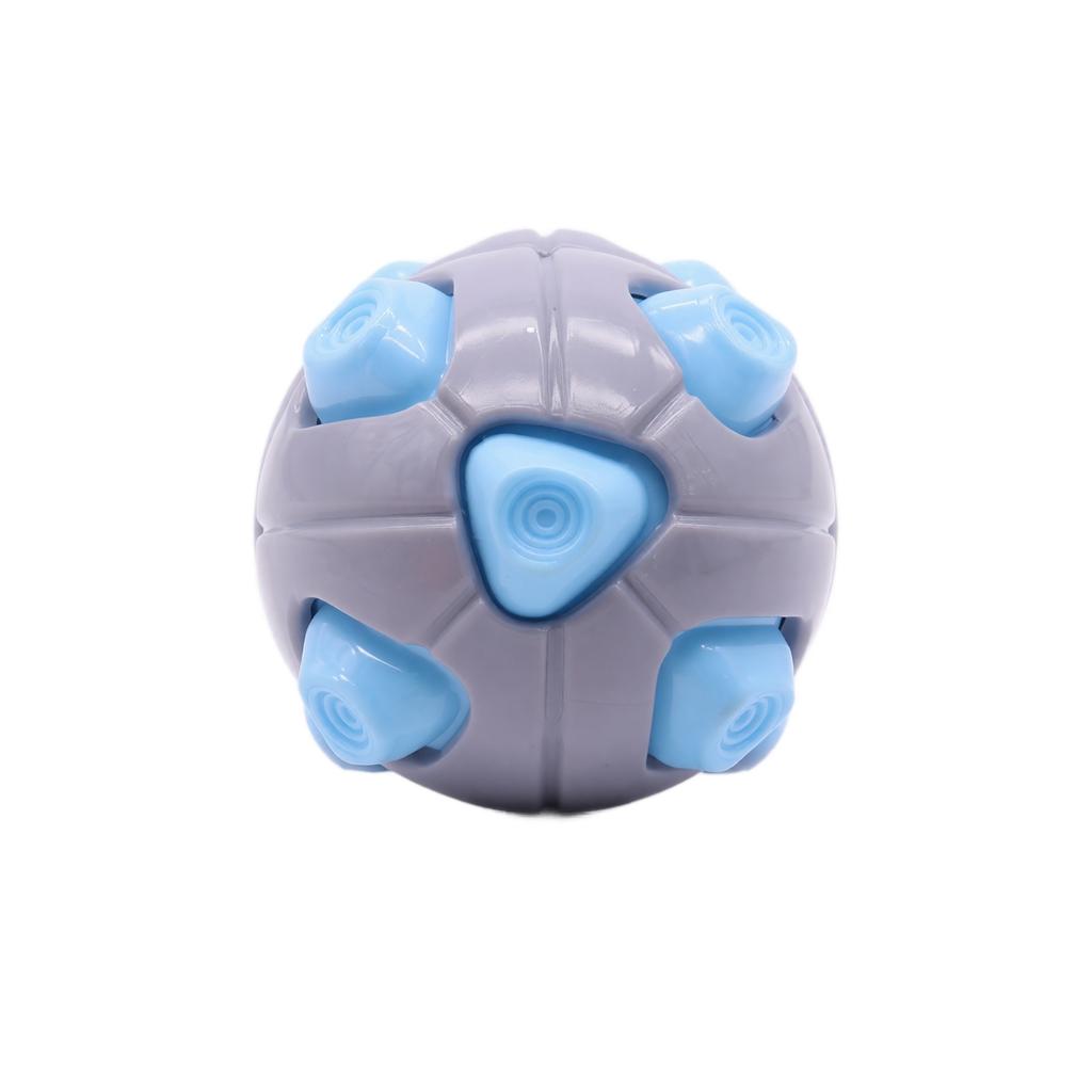 Squeaky Dog Ball Toy for Puppy Teething, Interactive Ball for Dogs and Play
