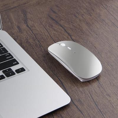 Computerrandapparatuur – Muizen