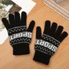 Winter Adult Outdoor Riding Warm Velvet Gloves