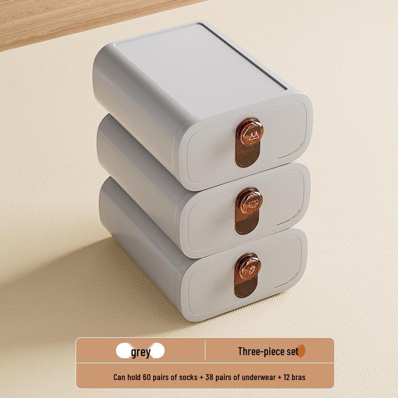 

Органайзер для нижнего белья и носков, Пыленепроницаемая коробка для хранения в гардеробе