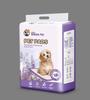 Pet Pee Pads: Disposable, Colorful, Large Quantity Diapers for Dogs