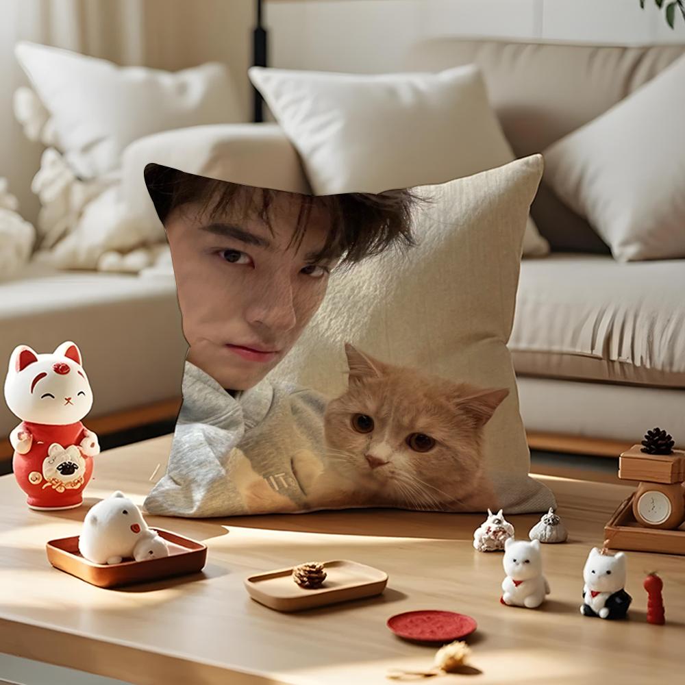LinYi Chinese Actor Cushion Cover Anti-dustmite Pillowcase Invisible Zipper Silky Short Plush Sofa Cushion Cover