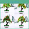 Artificial Plant Bonsai With Fruits For Home Decor And Gift Ideas