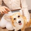 Pet Comb,  Wood Handle, Single  Flea Comb, Dog Grooming Comb, Lice Removal Long Needle Comb