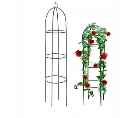 Support For Climbing Plants - Rose Support, Flower Ladder