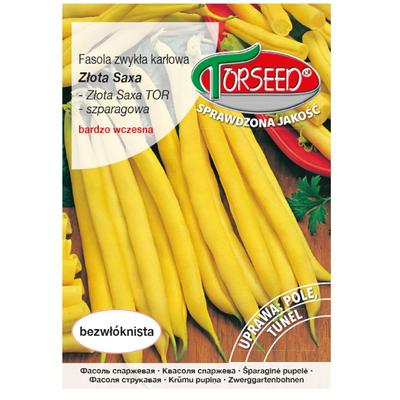 Złota Saxa-Bohnen, frische Gemüsesamen PREMIUM 50g