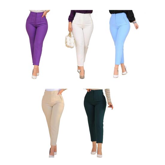 Women Pencil Pants Solid Color High Waist Straight Leg Fit Long Trousers Pleated Design Leisure Pants Daily Wear