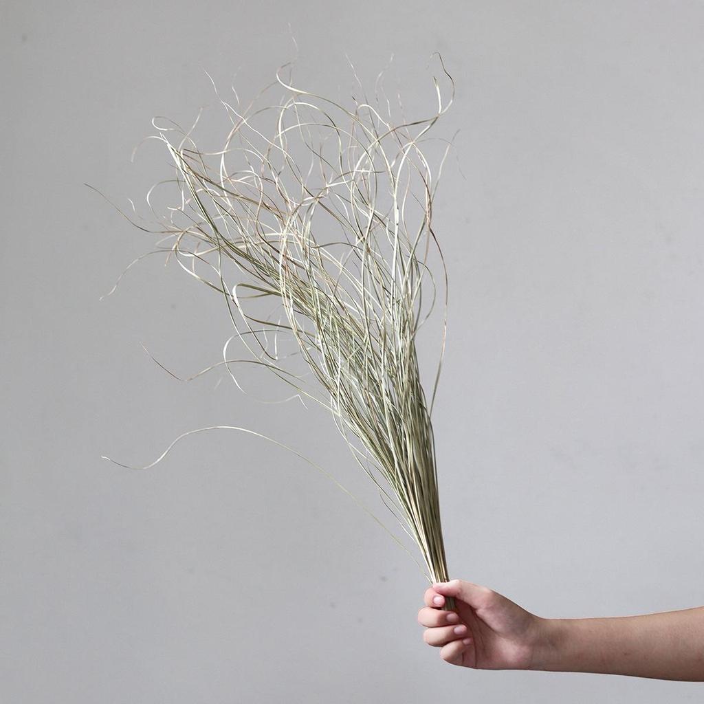 Wabi-sabi Dried Flower Arrangement: Reed, Pine Cones, Cotton, Wheat, Poppy Bouquet