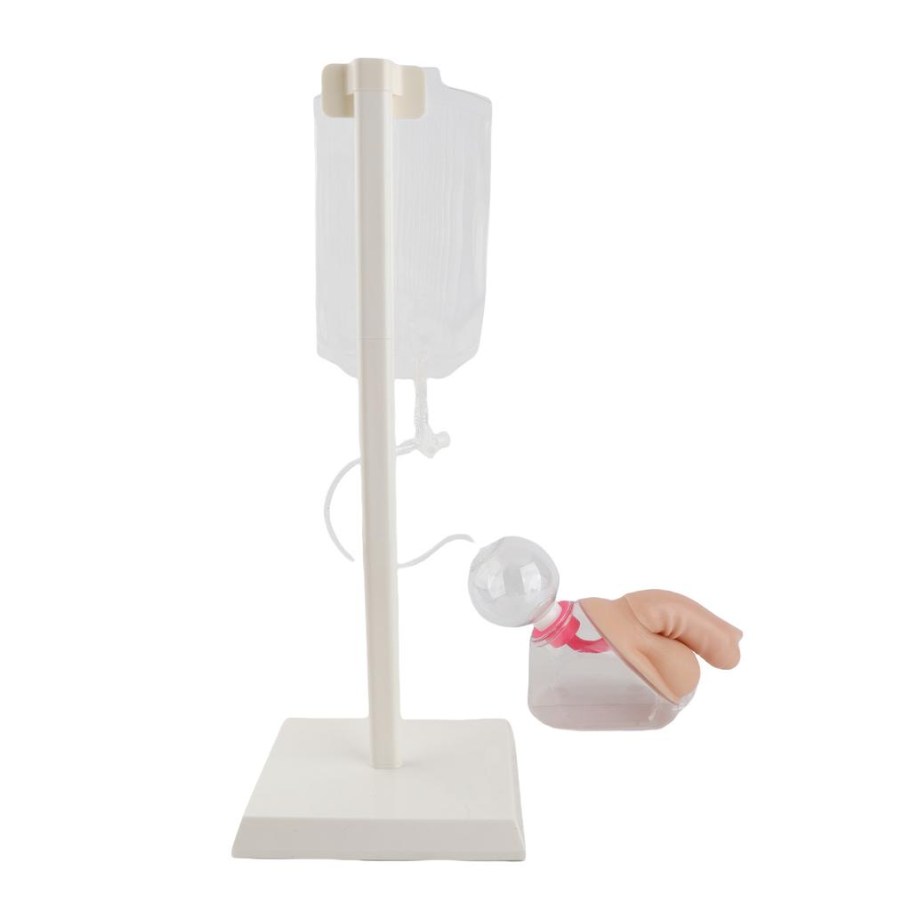 Male Urethral Catheterization Simulator Fluid Circulation System Urinary Catheterization Model for