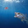 Bionic Soft Bait 2Pcs Sea Urchin Lure, 11cm/10g Floating Topwater Artificial Lightweight Lure Bait, Fuzzy for Freshwater Saltwater Fishing