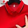 Pierre Cardin Men's 7A Antibacterial Breathable Polo Shirt