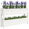 Planter Box White 112x25x66 Cm Solid Pine Wood