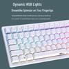 RK98 98-Key Hot-Swappable RGB Mechanical Keyboard