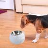 15° Tilted Dog Bowl Slanted Lightweight Cartoon Sturdy Pet Supplies Easy To Food Stainless